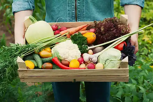 Fresh vegetables and greens
